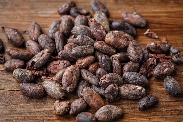 Cocoa Prices Recover as Ivory Coast Cocoa Exports Slow