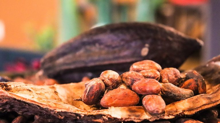 Cocoa Prices Settle Sharply Higher on Supply Fears